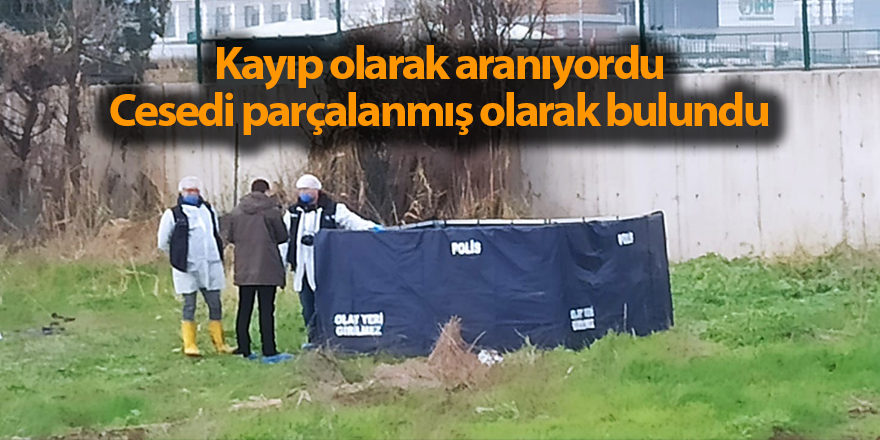 Kayıp olarak aranıyordu Cesedi parçalanmış olarak bulundu