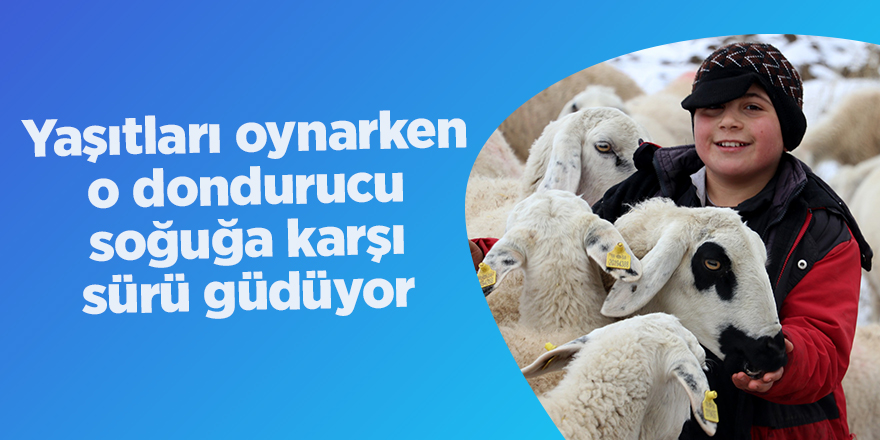 Yaşıtları oynarken o dondurucu soğuğa karşı sürü güdüyor