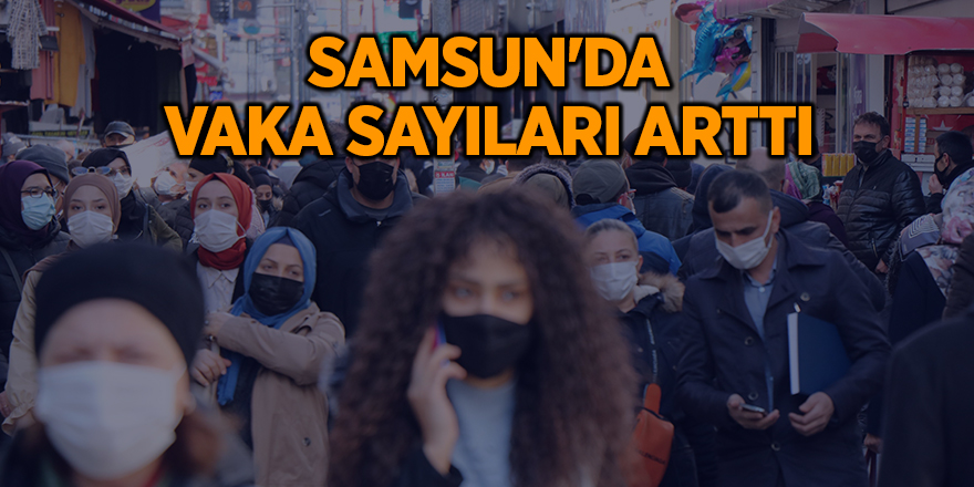 Samsun'da vaka sayıları arttı - samsun haber