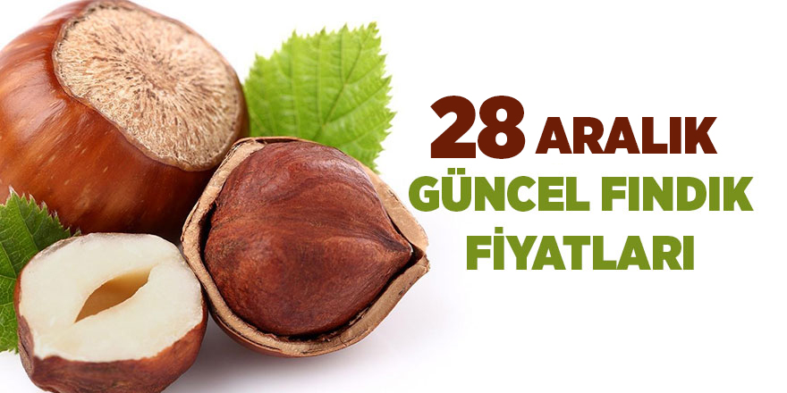 28 Aralık güncel fındık fiyatları