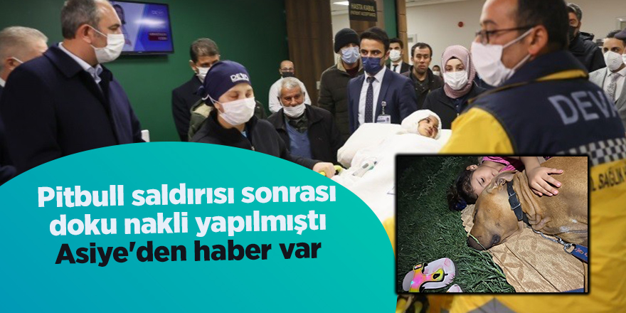 Pitbull saldırısı sonrası doku nakli yapılmıştı Asiye'den haber var