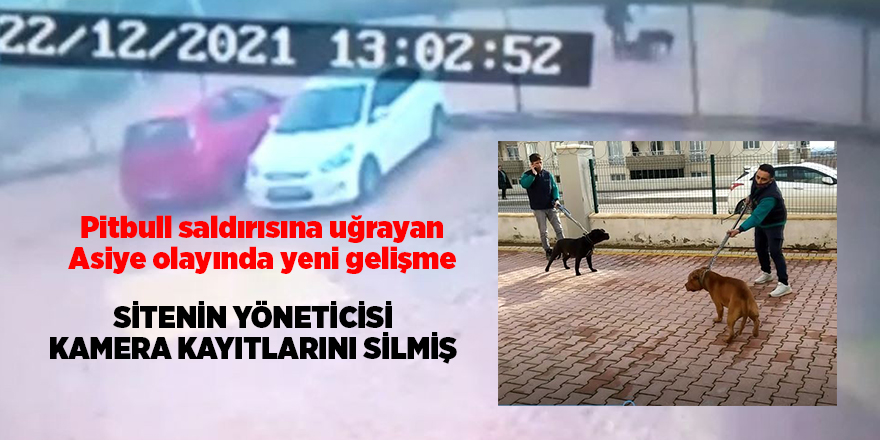 Pitbull saldırısına uğrayan Asiye olayında yeni gelişme