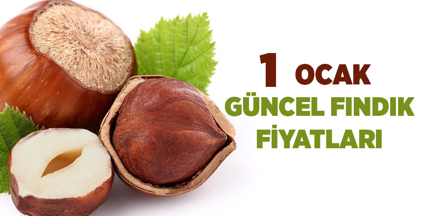 1 Ocak güncel fındık fiyatları