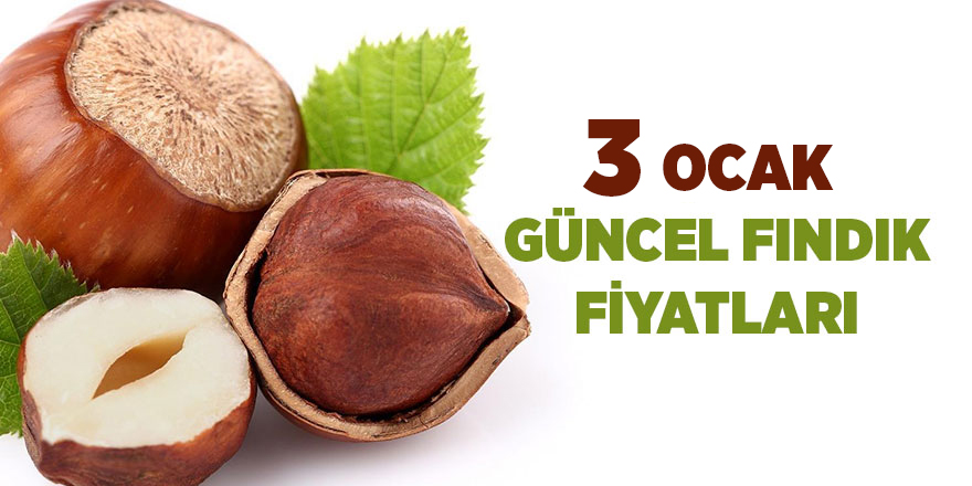 3 Ocak güncel fındık fiyatları