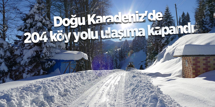 Doğu Karadeniz'de 204 köy yolu ulaşıma kapandı