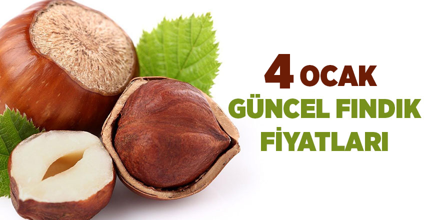 4 Ocak güncel fındık fiyatları