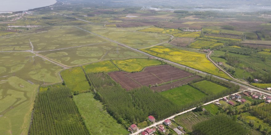 Terme'ye dev istihdam projesi - samsun haber