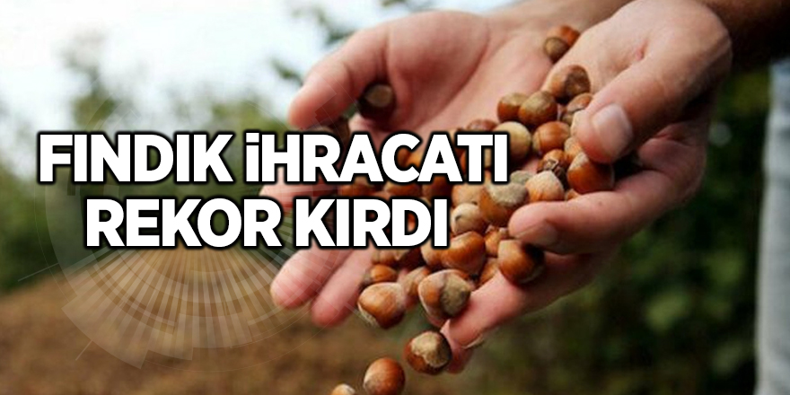 Fındık ihracatı rekor kırdı 