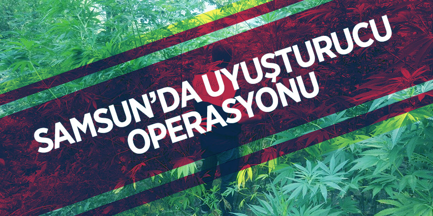 Samsun'da Uyuşturucu Operasyonu