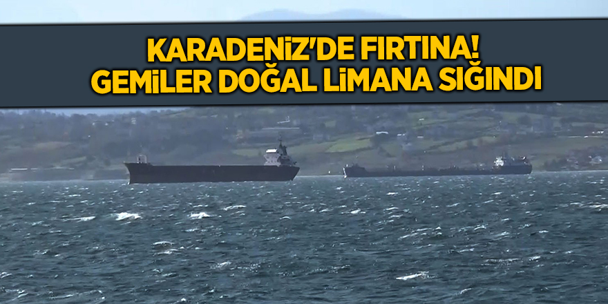 Karadeniz'de fırtına!  Gemiler doğal limana sığındı