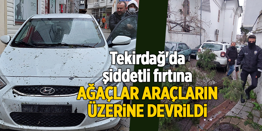 Tekirdağ'da şiddetli fırtına ağaçlar araçların üzerine devrildi