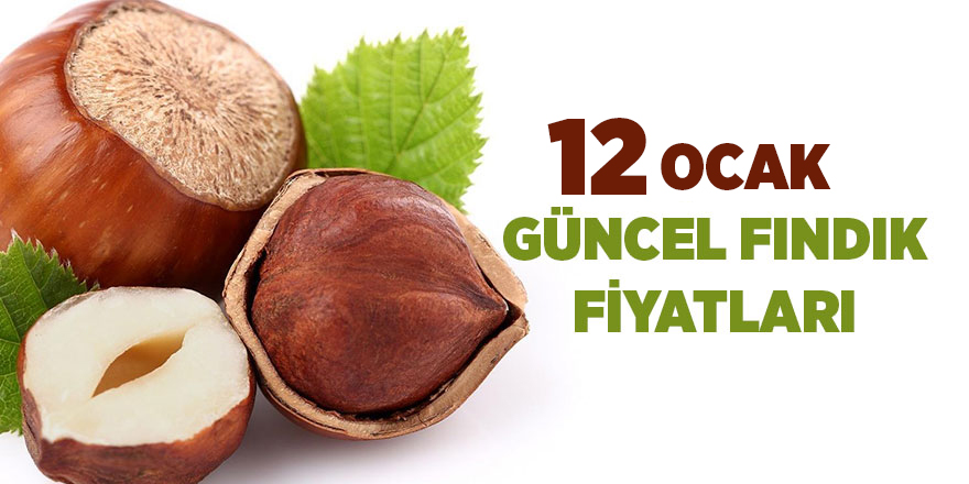 12 Ocak güncel fındık fiyatları