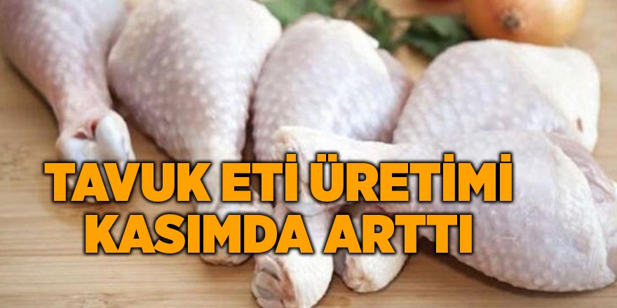 Tavuk eti üretimi kasımda arttı