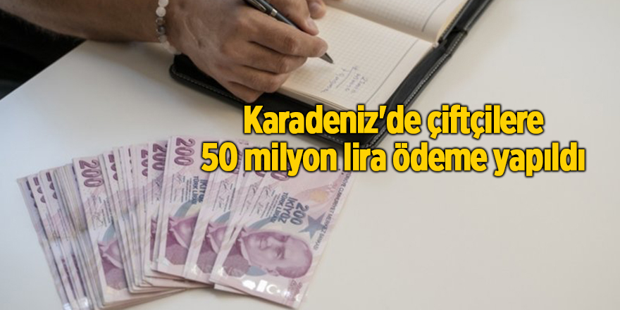 Karadeniz'de çiftçilere 50 milyon lira ödeme yapıldı