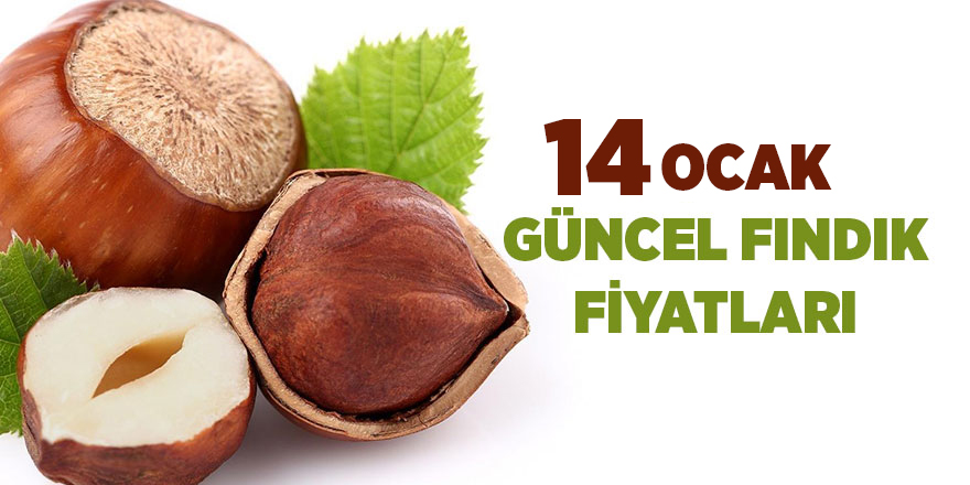 14 Ocak güncel fındık fiyatları