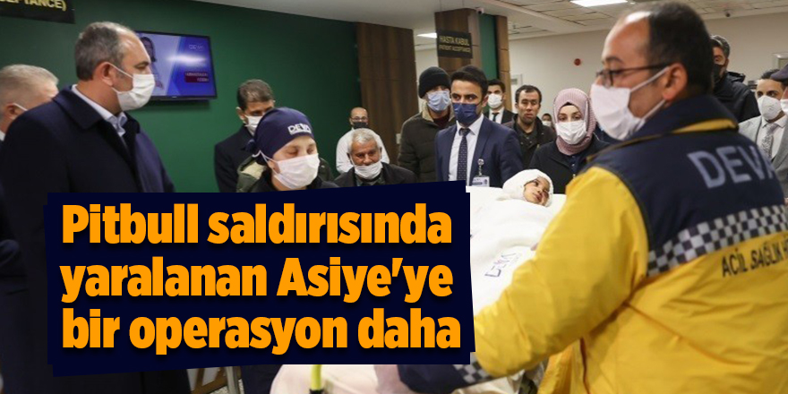 Pitbull saldırısında yaralanan Asiye'ye bir operasyon daha