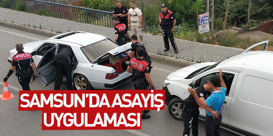 Samsun'da asayiş uygulaması