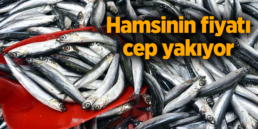 Hamsinin fiyatı cep yakıyor