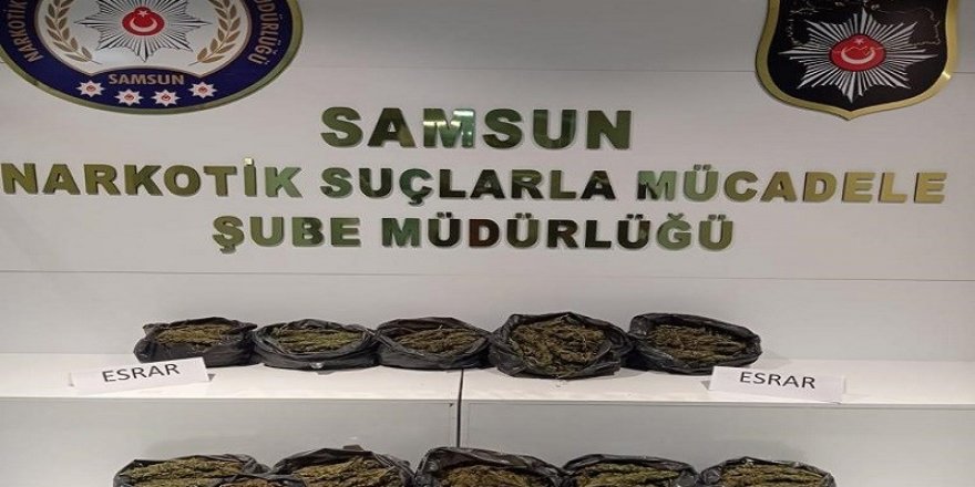 Samsun'da kilolarca esrar ele geçirildi - samsun haber