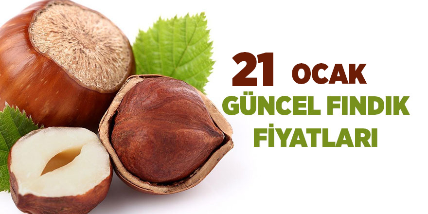 21 Ocak güncel fındık fiyatları