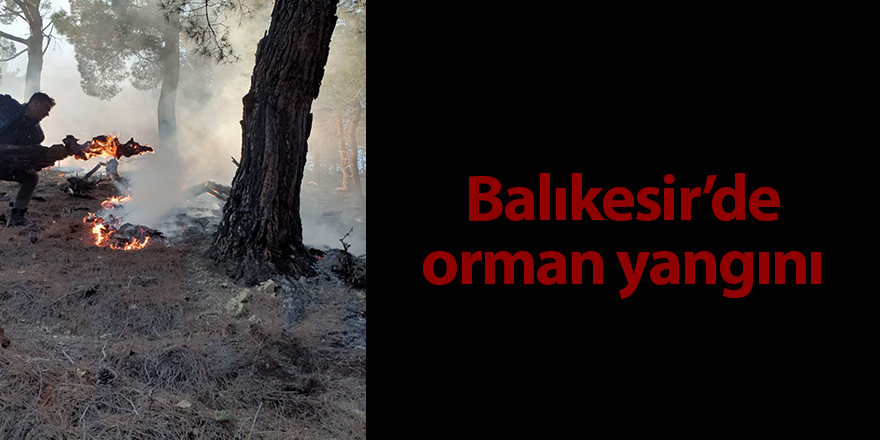 Balıkesir’de orman yangını