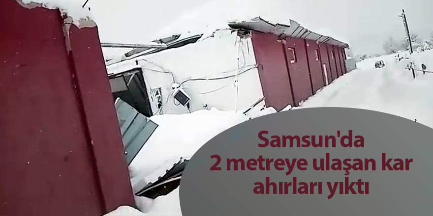 Samsun'da 2 metreye ulaşan kar ahırları yıktı - samsun haber