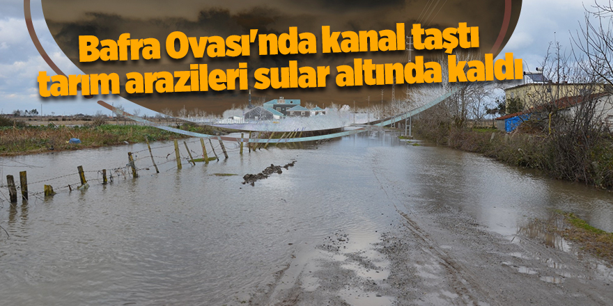 Bafra Ovası'nda kanal taştı tarım arazileri sular altında kaldı - samsun haber