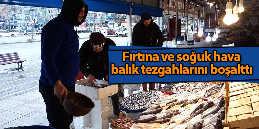 Fırtına ve soğuk hava balık tezgahlarını boşalttı