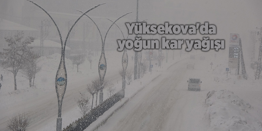 Yüksekova'da yoğun kar yağışı