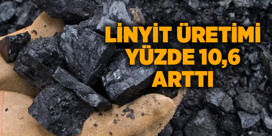 Linyit üretimi yüzde 10,6 arttı