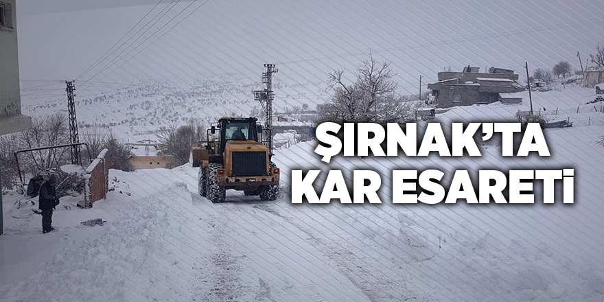 Şırnak’ta kar esareti