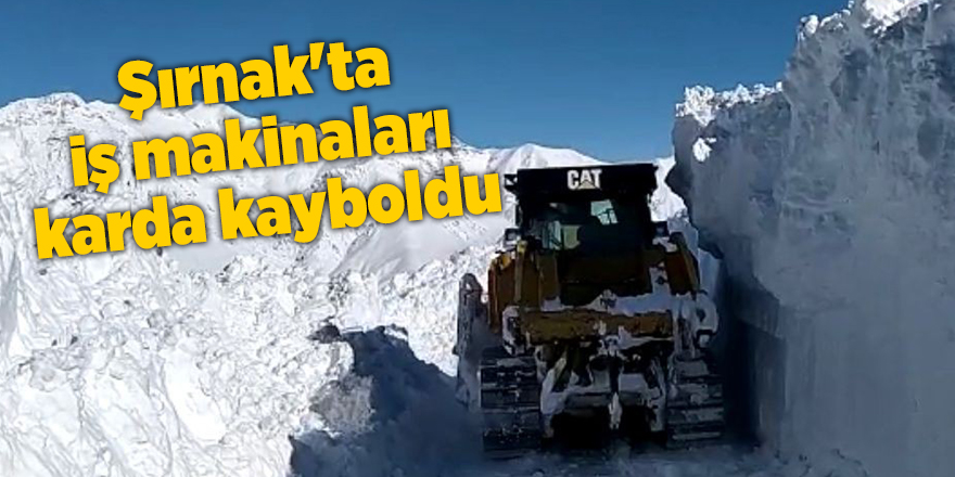 Şırnak'ta iş makinaları karda kayboldu