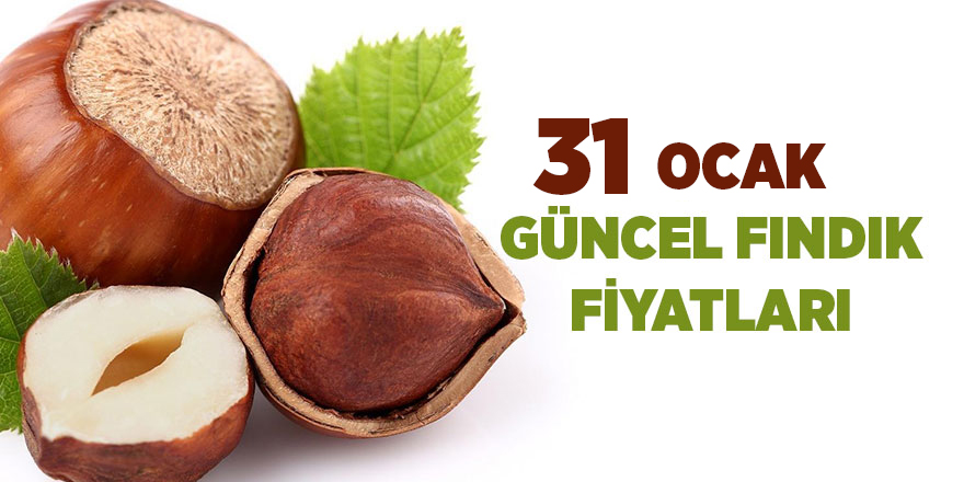 31 Ocak güncel fındık fiyatları