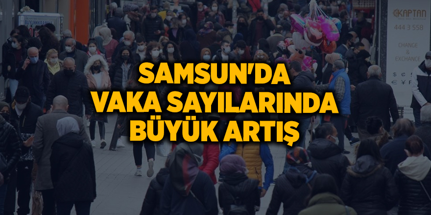 Samsun'da vaka sayılarında büyük artış - samsun haber