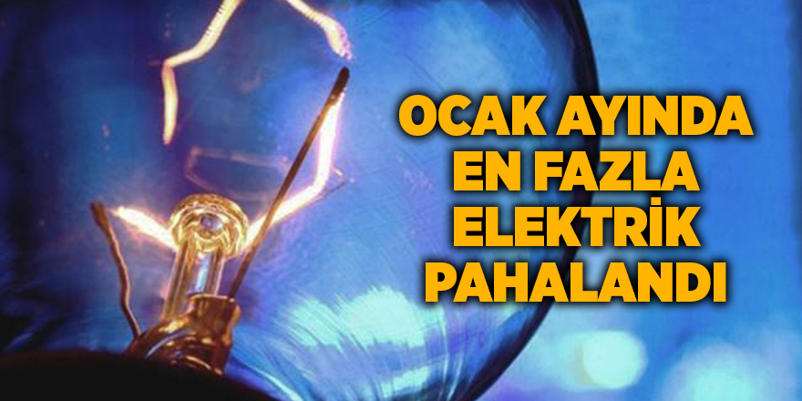 Ocak ayında en fazla elektrik pahalandı