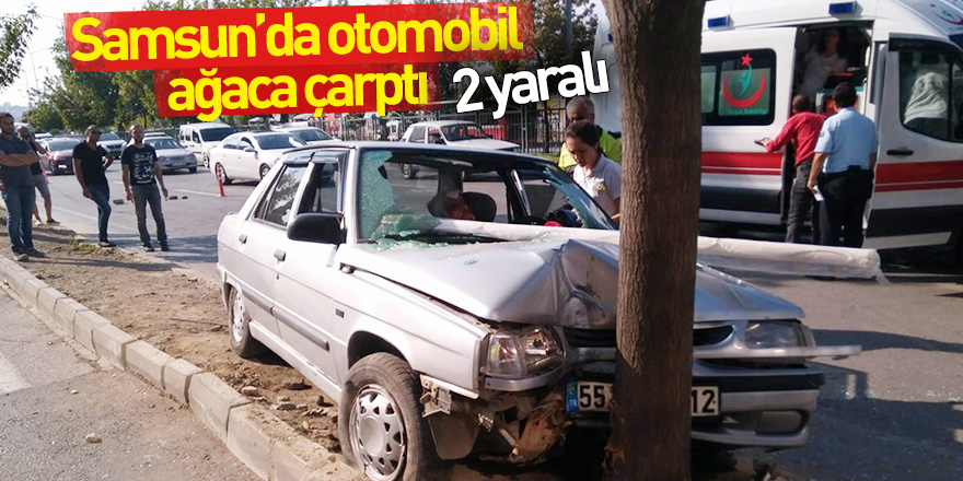 Samsun'da otomobil ağaca çarptı: 2 yaralı