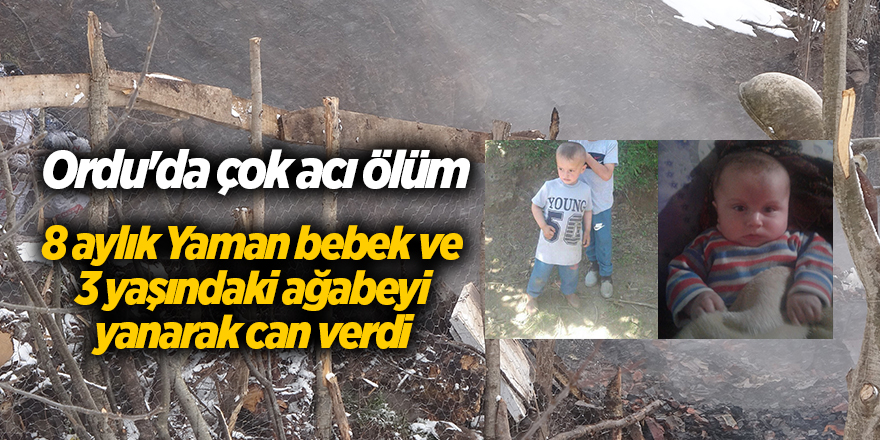 Ordu'da çok acı ölüm