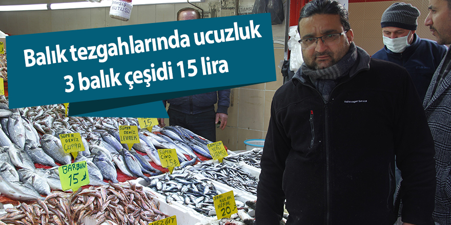 Balık tezgahlarında ucuzluk 3 balık çeşidi 15 lira