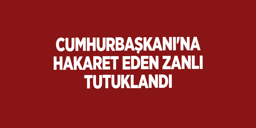 Cumhurbaşkanı'na hakaret eden zanlı tutuklandı