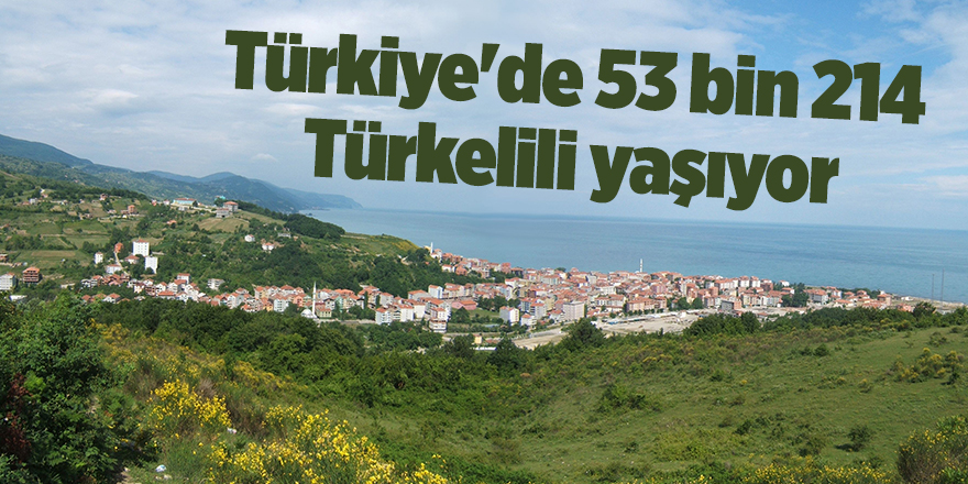 Türkiye'de 53 bin 214 Türkelili yaşıyor