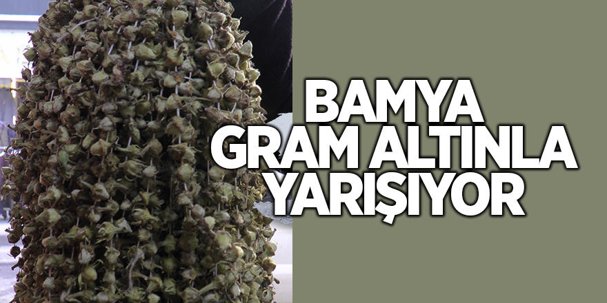 Bamya gram altınla yarışıyor