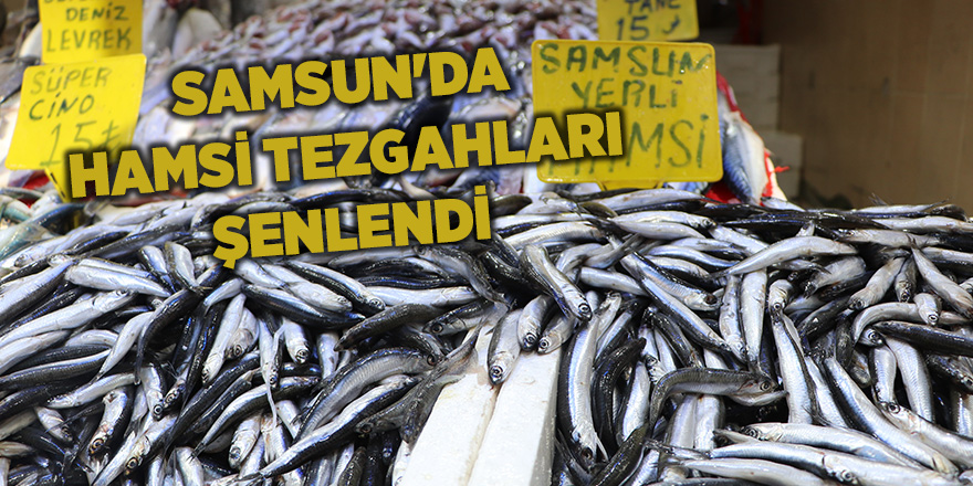 Samsun'da hamsi tezgahları şenlendi - samsun haber