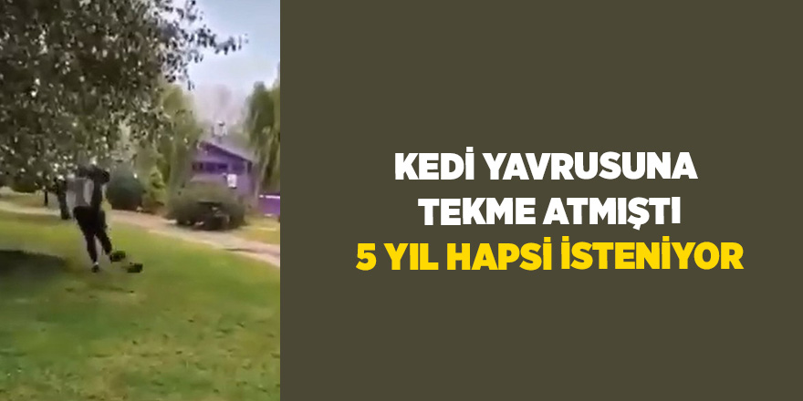 Kedi yavrusuna tekme atmıştı 5 yıl hapsi isteniyor