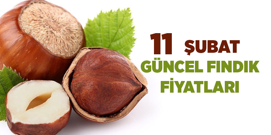 11 Şubat güncel fındık fiyatları