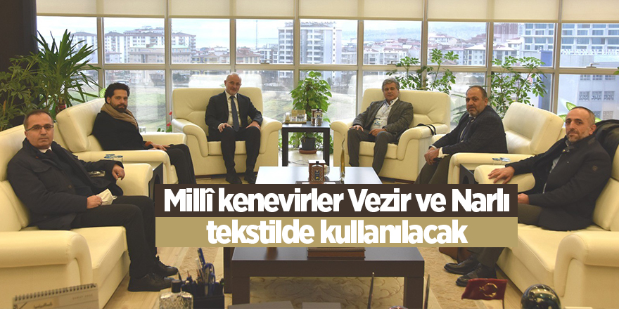 Millî kenevirler Vezir ve Narlı tekstilde kullanılacak - samsun haber