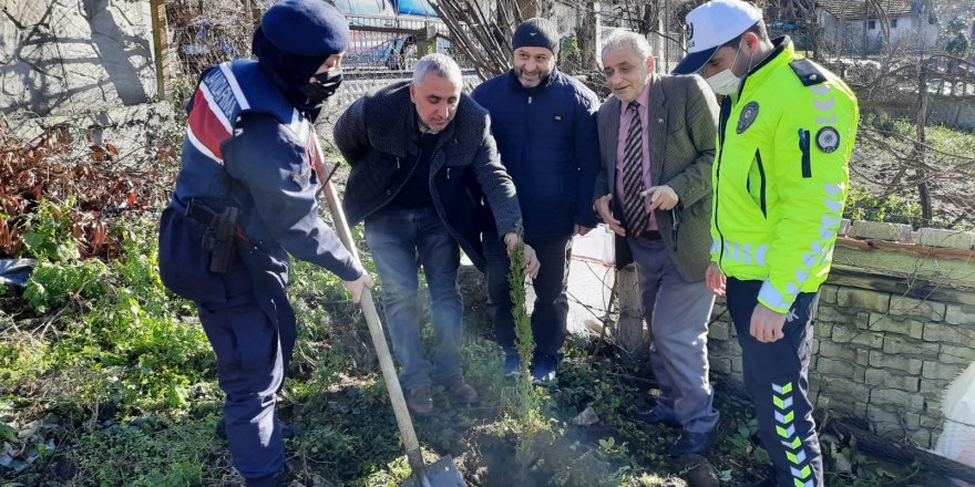 Samsunlu şehit babası  acısını fidan dikerek hafifletiyor - samsun haber