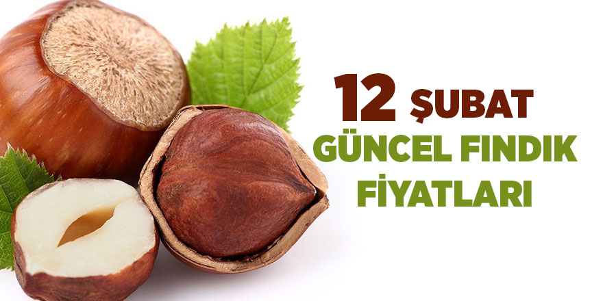 12 Şubat güncel fındık fiyatları