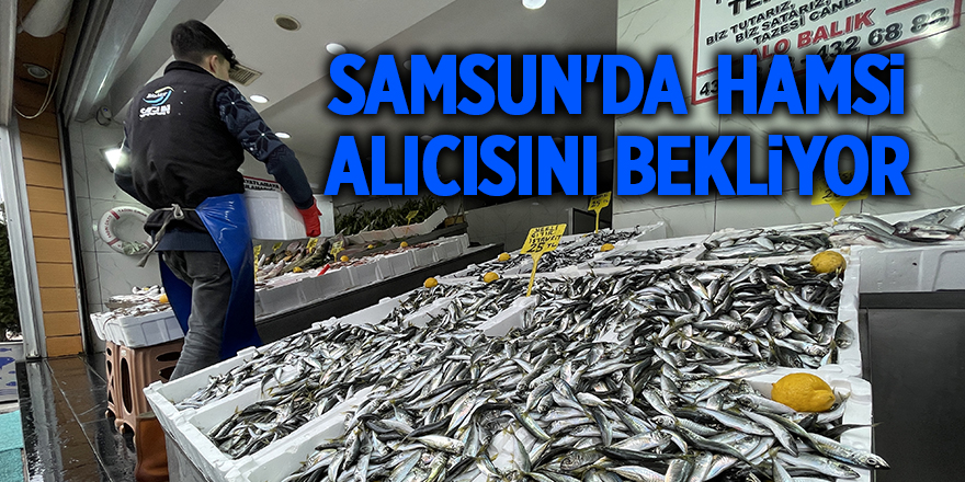 Samsun'da  hamsi alıcısını bekliyor - samsun haber