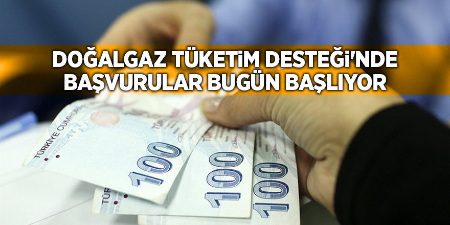 Doğalgaz Tüketim Desteği'nde başvurular bugün başlıyor