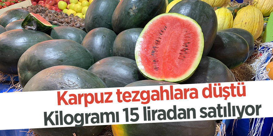 Karpuz tezgahlara düştü Kilogramı 15 liradan satılıyor